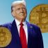 Криптокомпания сына Дональда Трампа отчиталась об убытках в десятки миллионов долларов.